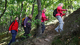 Hotel Friedrichs - Naturpark Eifel